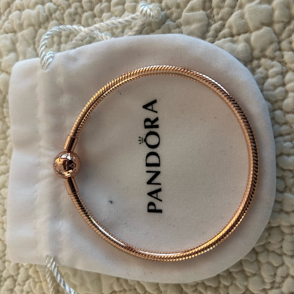 Pandora charm bracelet